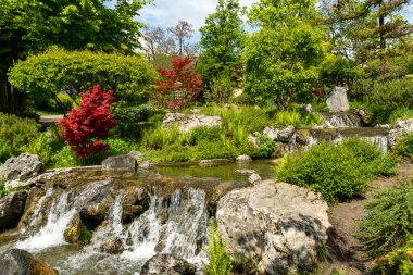 Setagaya Park, Viyana 'da küçük bir şelale. Baharda güzel bahçedeki şelale manzarası. Peyzaj arkaplanı ve duvar kağıdı.