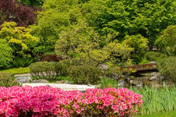 stock image Beautiful japanese-style botanical garden during springtime. Landscape background and wallpaper.