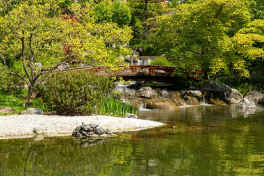 Bahar zamanı Japon tarzı güzel bir botanik bahçesi. Setagaya Japon bahçesi. Peyzaj arkaplanı ve duvar kağıdı.