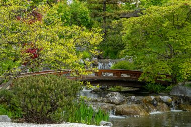 Bahar zamanı Japon tarzı güzel bir botanik bahçesi. Setagaya Japon bahçesi. Peyzaj arkaplanı ve duvar kağıdı.
