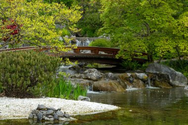 Bahar zamanı Japon tarzı güzel bir botanik bahçesi. Setagaya Japon bahçesi. Peyzaj arkaplanı ve duvar kağıdı.