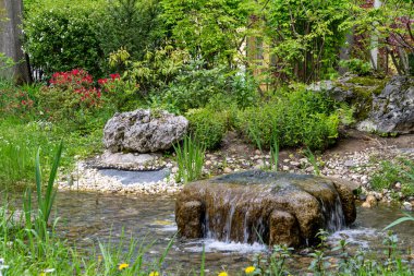 Bahar zamanı botanik bahçesinde su kaynağı. Setagaya Japon bahçesi.