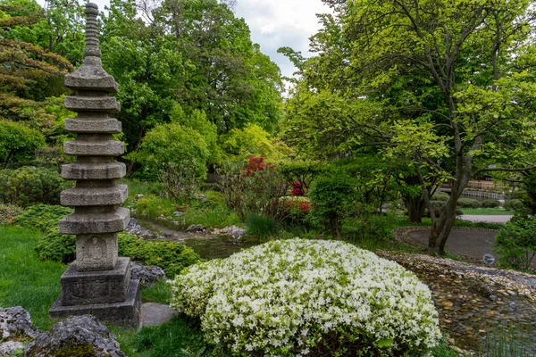 Bahar zamanı Japon tarzı güzel bir botanik bahçesi. Setagaya Japon bahçesi. Peyzaj arkaplanı ve duvar kağıdı.