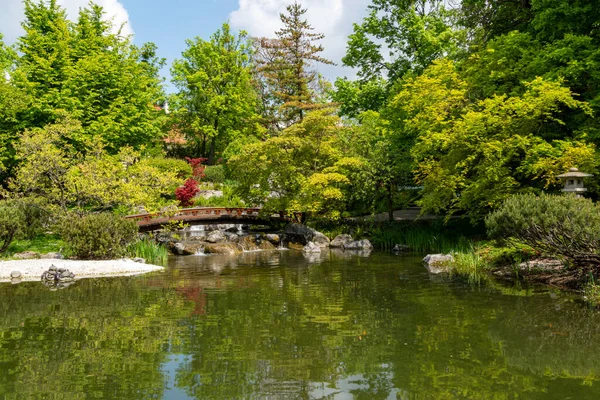 stock image Beautiful Japanese-style botanical garden during springtime. Setagaya Japanese garden. Landscape background and wallpaper.