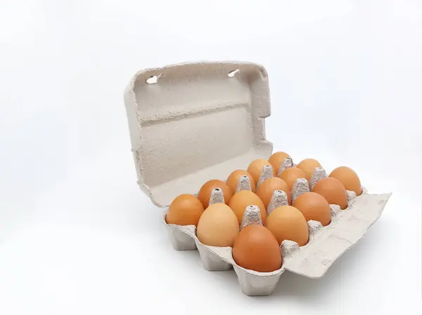 Cardboard egg box with fifteen brown eggs isolated on white background with copy space. Side view.