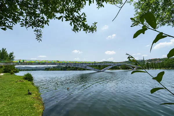 Portekiz 'in Coimbra kentindeki Mondego Nehri manzarası, açık bir gökyüzünün altında, ağaçlar ve yaya köprüsü var. Peyzaj arkaplanı ve duvar kağıdı.