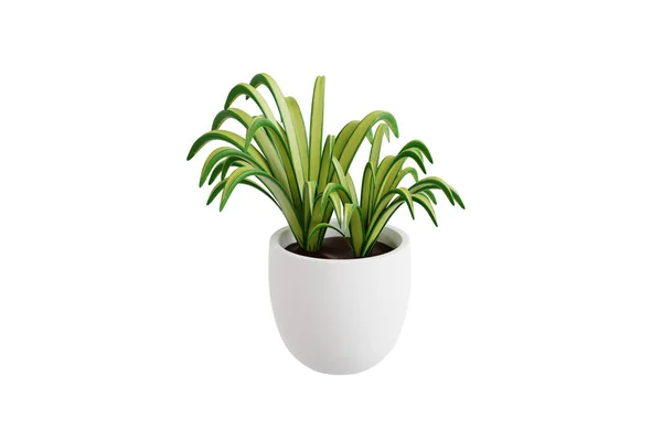 Air Purifying Spider Plant Indoor Plant Illustration — Stock Photo, Image