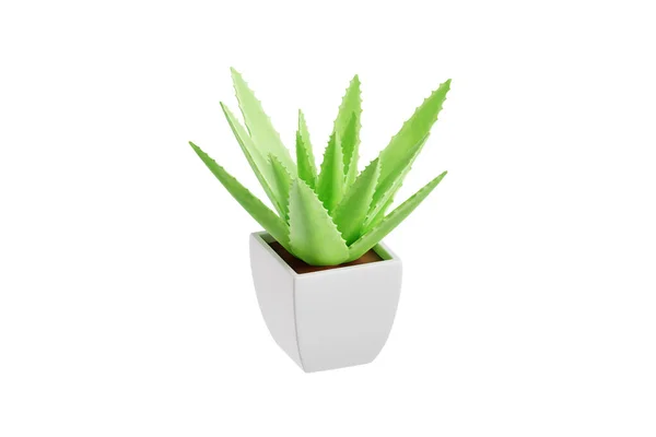 Illustrazione Del Vaso Cactus — Foto Stock