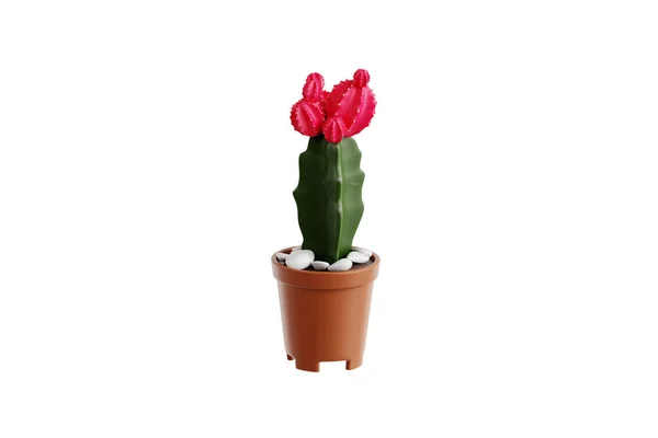 Illustratie Van Cactus Pot — Stockfoto