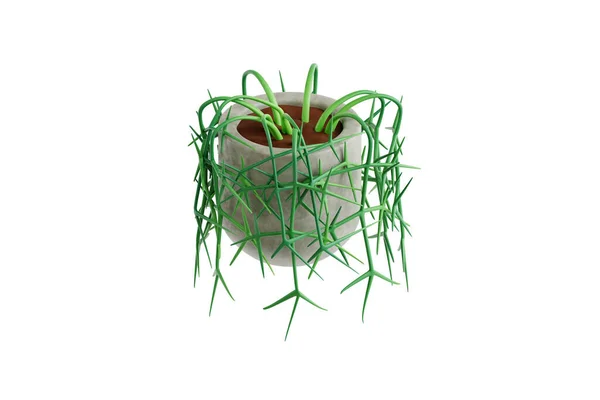 Illustratie Van Cactus Pot — Stockfoto