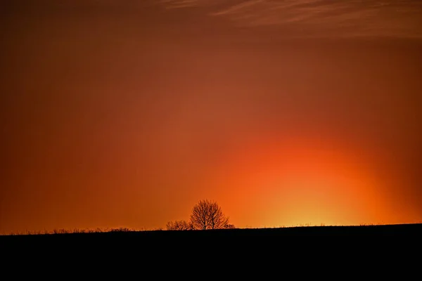 Sunset Tree Sun — Stock Photo, Image