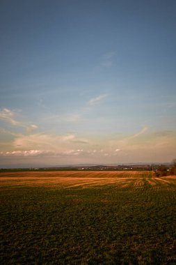 Buğday tarlası ve mavi gökyüzü olan güzel bir manzara.