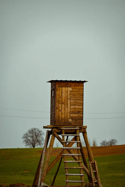 Orman kulede ahşap avcılık