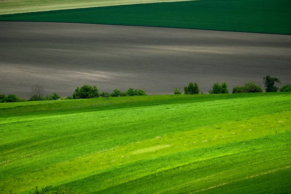 Green Hills Fields Mormorskie Moravia Czech Republic — Stock Photo, Image