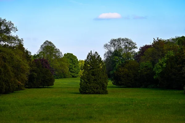 Parkta yeşil çimen