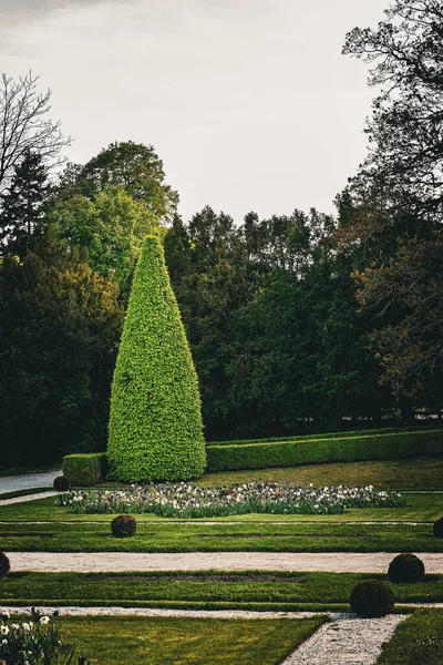 Beautiful Garden Park — Stock Photo, Image