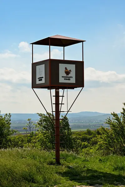 Чехия Брно 2023 Смотровая Башня Виноградниках Чешской Республики — стоковое фото