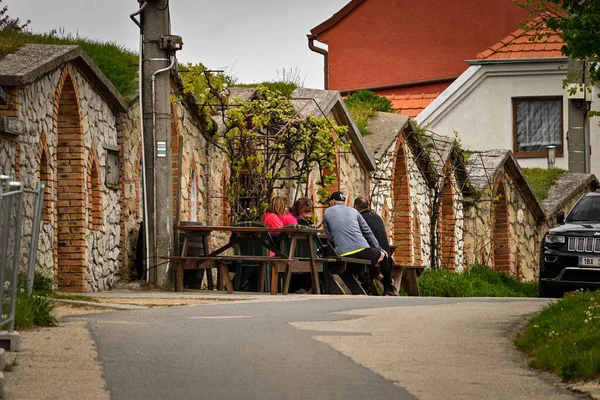 Çek Cumhuriyeti, Brno, 2023 / 05 / 07 - Üzüm bağları, köyler ve insanlar arasında şarap mahzenleri