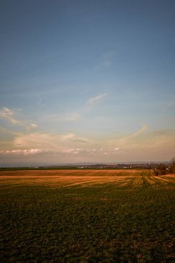 Gün batımı, gün batımı tarlası, yeşil alan.