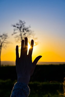 Gün batımında güneş ışığıyla kadın eli.