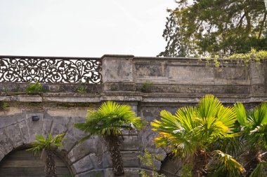 Güzel eski ev, ağaçlar