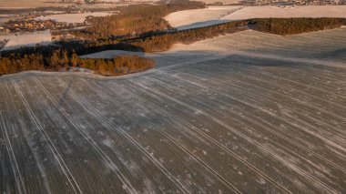 Donmuş tarlalar, orman ve ağaçlarla kaplı kış manzarası