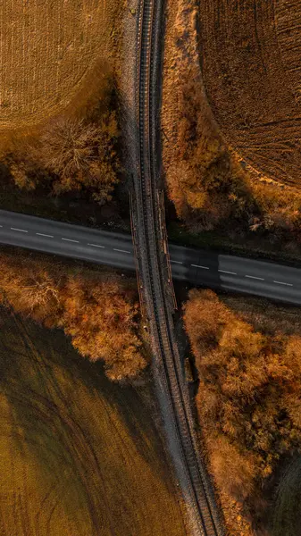Sonbahar ormanındaki yolun havadan görünüşü