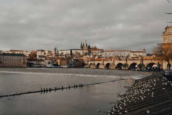 Prag şehri ve eski kasaba
