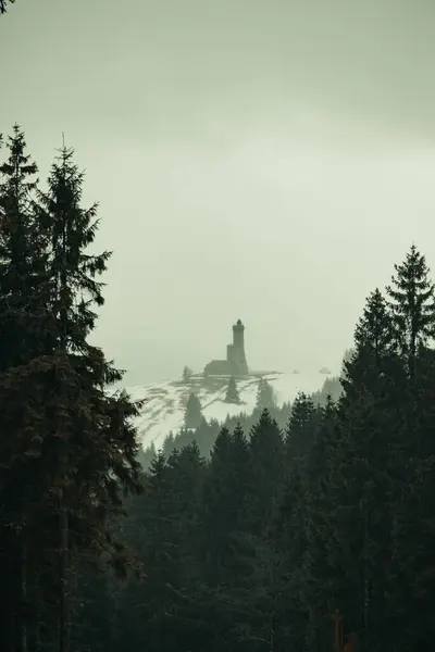 Dağlarla çevrili güzel bir orman görüntüsü.