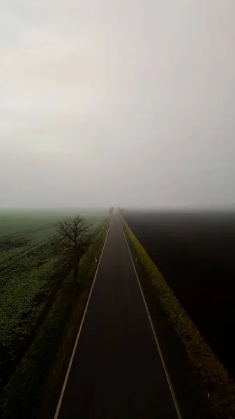 road with trees in the fog