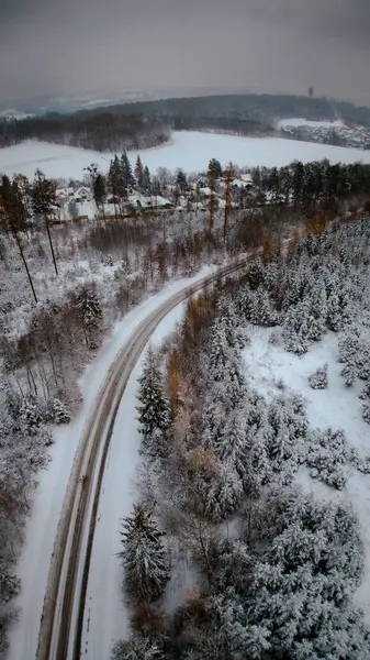 Ormanın güzel manzarası