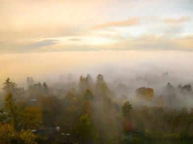 Güzel sonbahar manzarası. Doğa, seyahat