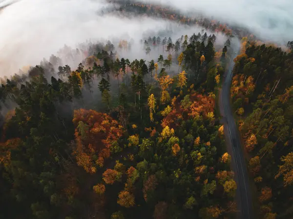 Sonbahar ormanlarının ve renkli yolların havadan görünüşü