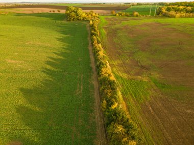 Tarımsal alanlara ve tarımsal alanlara insansız hava görüntüsü