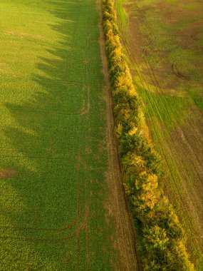 Çek Cumhuriyeti 'ndeki yeşil tarım alanının havadan görünüşü.
