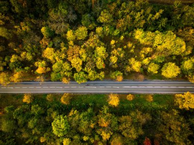 Yol ve sonbahar yapraklarının havadan görünüşü