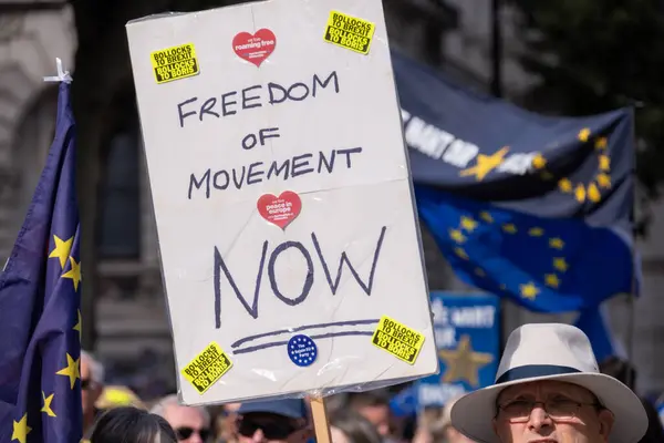 Birleşik Krallık, Londra, 2023 / 09 / 23 - Londra şehir merkezinde gösteri, Avrupa Birliği Brexit karşıtı gösteri, sokakta yürüyen protestocular, Brexit 'i protesto eden İngilizler