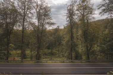 Çek Cumhuriyeti, Vrbno pod Pradedem, 2024 / 07 / 13 - Tepe tırmanışı, yarış arabaları, yarış arabaları, yarış spesiyalleri, 