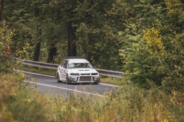 Çek Cumhuriyeti, Vrbno pod Pradedem, 2024 / 07 / 13 - Tepe tırmanışı, yarış arabaları, yarış arabaları, yarış spesiyalleri, 