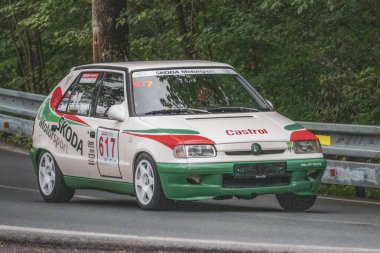 Çek Cumhuriyeti, Vrbno pod Pradedem, 2024 / 07 / 13 - Tepe tırmanışı, yarış arabaları, yarış arabaları, yarış spesiyalleri, 