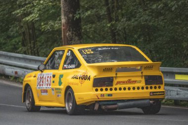 Çek Cumhuriyeti, Vrbno pod Pradedem, 2024 / 07 / 13 - Tepe tırmanışı, yarış arabaları, yarış arabaları, yarış spesiyalleri, 