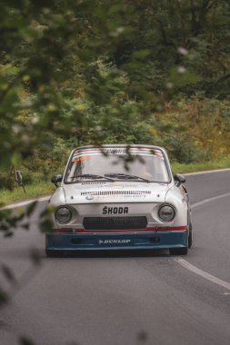 Çek Cumhuriyeti, Vrbno pod Pradedem, 2024 / 07 / 13 - Tepe tırmanışı, yarış arabaları, yarış arabaları, yarış spesiyalleri, 