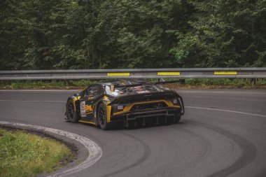 Çek Cumhuriyeti, Vrbno pod Pradedem, 2024 / 07 / 13 - Tepe tırmanışı, yarış arabaları, yarış arabaları, yarış spesiyalleri, 