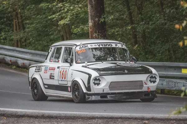 Çek Cumhuriyeti, Vrbno pod Pradedem, 2024 / 07 / 13 - Tepe tırmanışı, yarış arabaları, yarış arabaları, yarış spesiyalleri, 