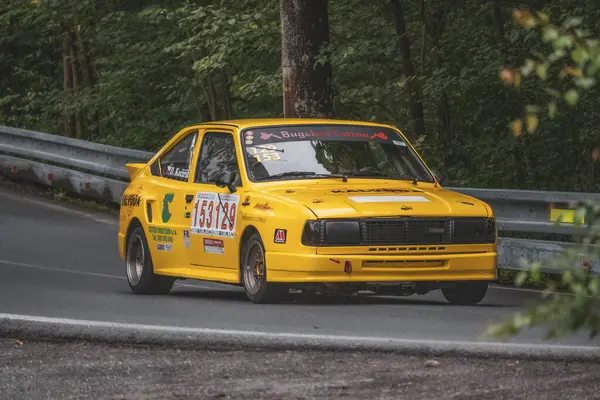 Çek Cumhuriyeti, Vrbno pod Pradedem, 2024 / 07 / 13 - Tepe tırmanışı, yarış arabaları, yarış arabaları, yarış spesiyalleri, 