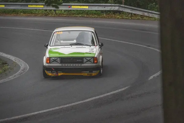 Çek Cumhuriyeti, Vrbno pod Pradedem, 2024 / 07 / 13 - Tepe tırmanışı, yarış arabaları, yarış arabaları, yarış spesiyalleri, 