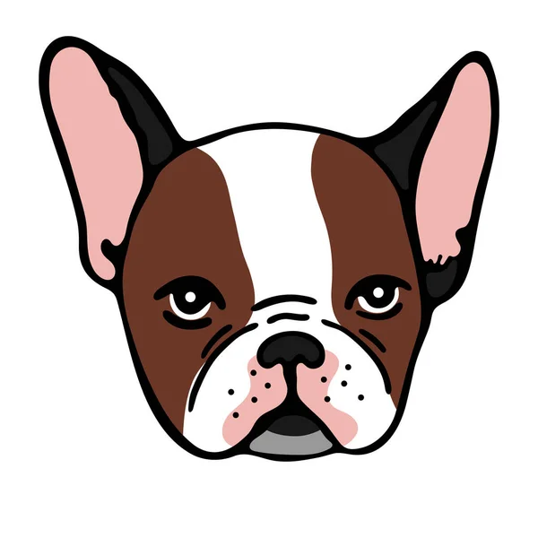 Porträtt Fransk Bulldogg Vit Bakgrund — Stock vektor