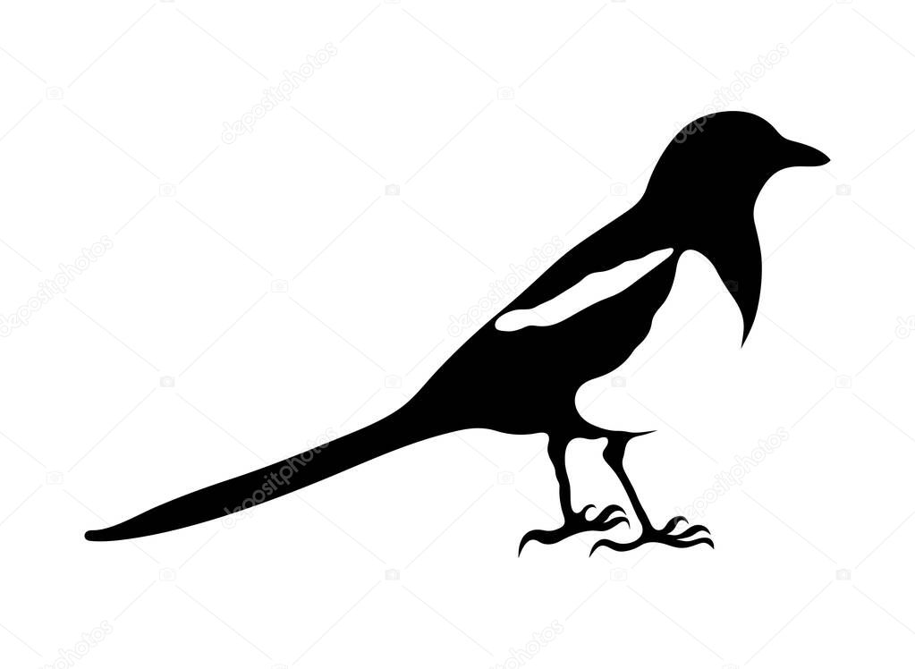 Stencil, black and white illustration of a magpie
