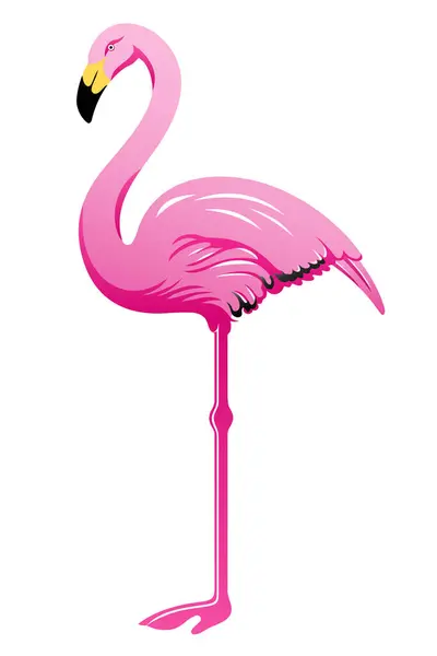 Beyaz arkaplanda pembe flamingo