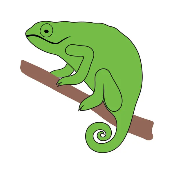 Bir dalda yeşil bukalemun